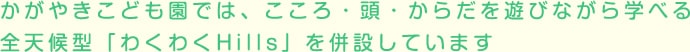 かがやきこども園では、こころ・頭・からだを遊びながら学べる 全天候型「わくわくHills」を併設しています