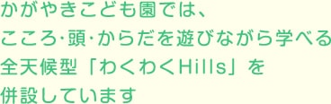 かがやきこども園では、こころ・頭・からだを遊びながら学べる 全天候型「わくわくHills」を併設しています