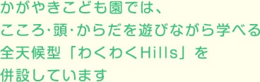 かがやきこども園では、こころ・頭・からだを遊びながら学べる 全天候型「わくわくHills」を併設しています